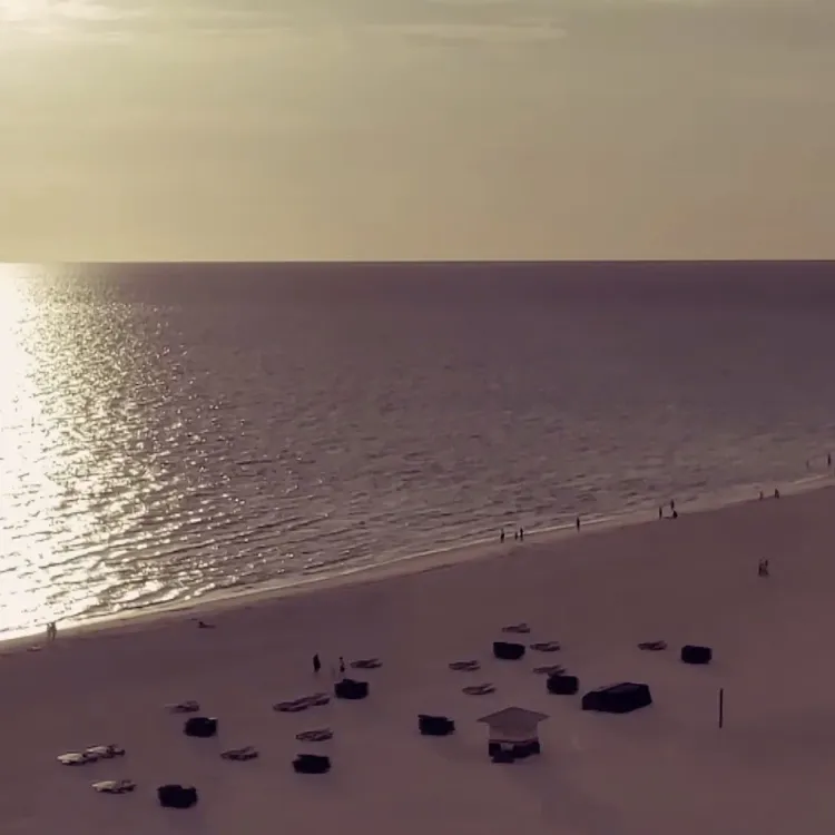 Music Video - Island in the Morning