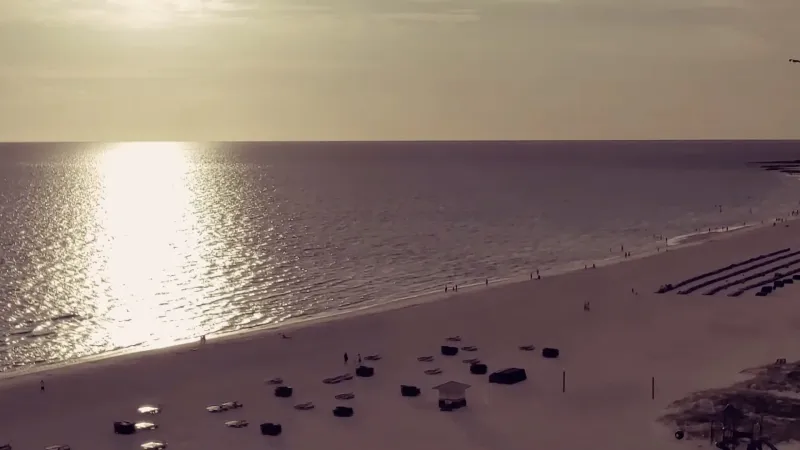 The First Music Video for Artificial Philosophy